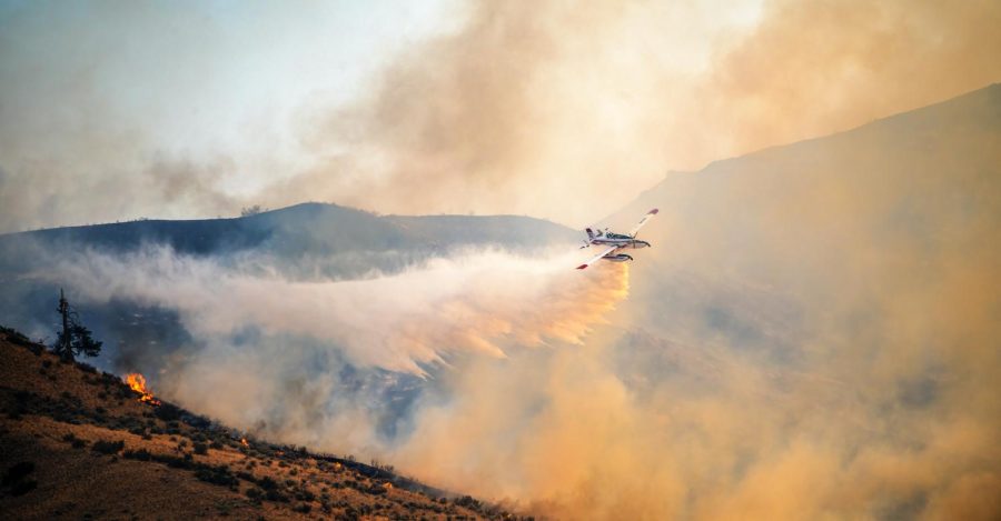 Jim Fire Burns 500 Acres of the Cleveland National Forest
