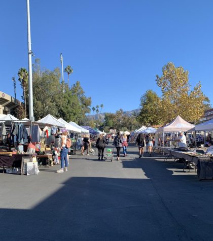 Photo of Rose Bowl Flea Market by Olivia Voelkel