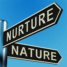 Nature V.S. Nurture: Why We Do What We Do