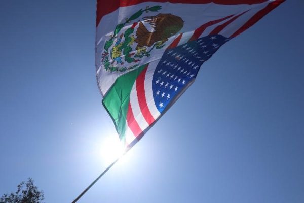 Flag Waving